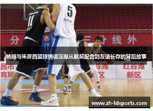 姚明与朱彦西篮球情谊深厚从默契配合到友谊长存的背后故事