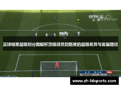 足球明星层级划分图解析顶级球员到新星的层级差异与发展路径